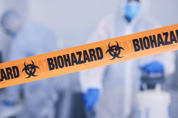 Professional Odor Removal technician working in Ward, CO